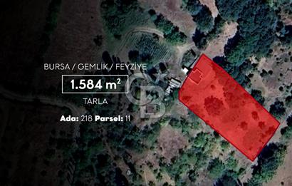 CB AMBIANCE'DAN GEMLİK/FEYZİYE'DE KÖY İÇİ İMARLI 1.584 M2 TARLA