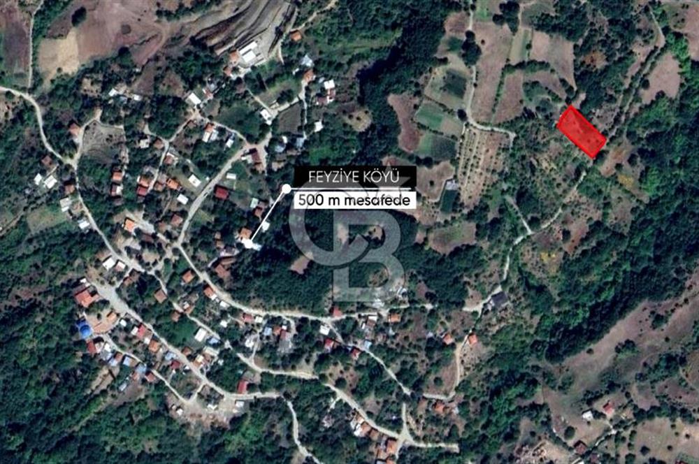 CB AMBIANCE'DAN GEMLİK/FEYZİYE'DE KÖY İÇİ İMARLI 1.584 M2 TARLA
