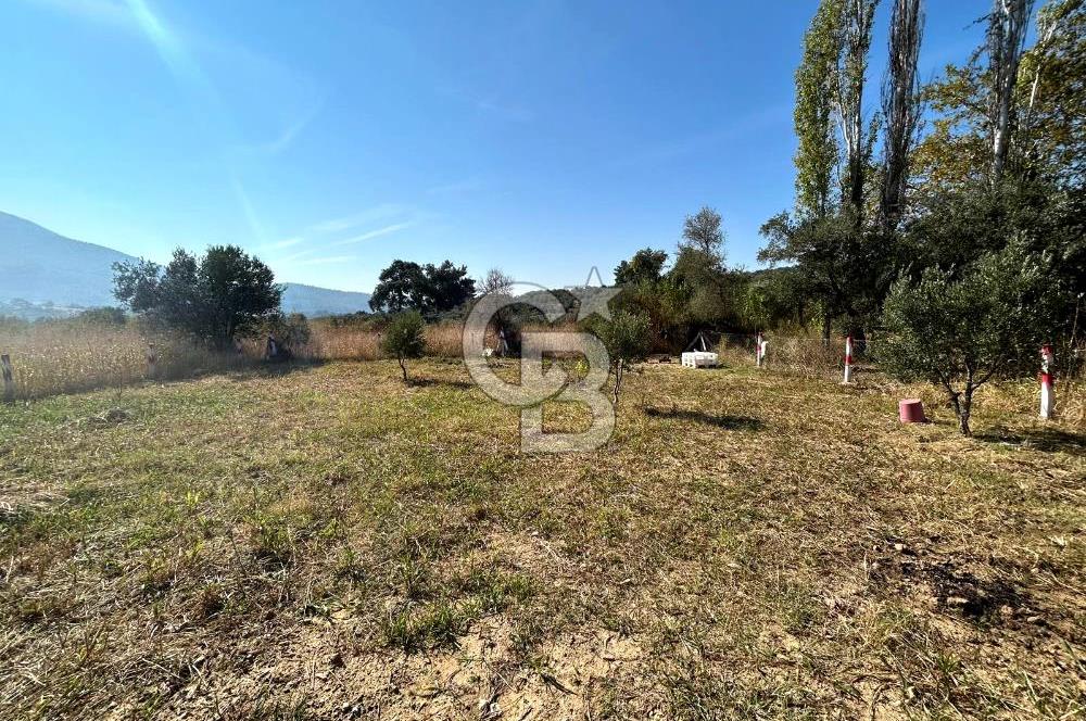 Kemalpaşa Vişneli'de Yatırımlık Hobi Bahçesi