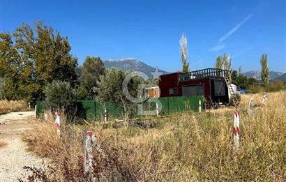 Kemalpaşa Vişneli'de Yatırımlık Hobi Bahçesi