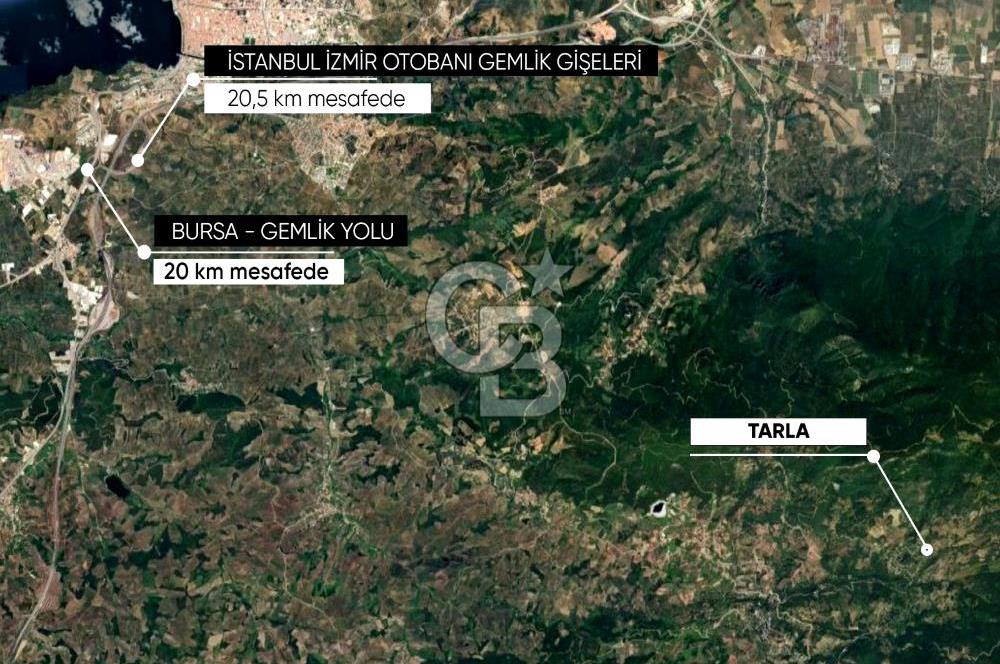 CB AMBIANCE'DAN GEMLİK/FEYZİYE'DE 3.702 M2 MÜSTAKİL TAPULU TARLA