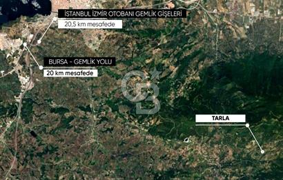 CB AMBIANCE'DAN GEMLİK/FEYZİYE'DE 3.702 M2 MÜSTAKİL TAPULU TARLA