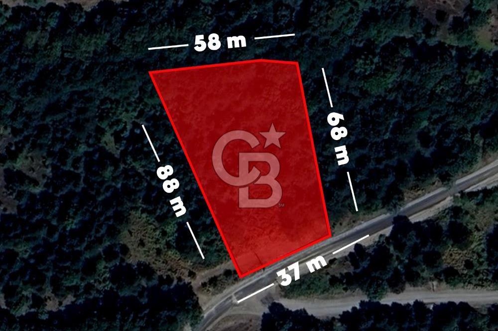 CB AMBIANCE'DAN GEMLİK/FEYZİYE'DE 3.702 M2 MÜSTAKİL TAPULU TARLA