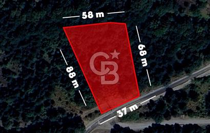 CB AMBIANCE'DAN GEMLİK/FEYZİYE'DE 3.702 M2 MÜSTAKİL TAPULU TARLA
