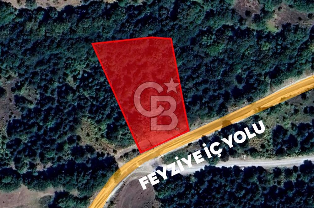 CB AMBIANCE'DAN GEMLİK/FEYZİYE'DE 3.702 M2 MÜSTAKİL TAPULU TARLA