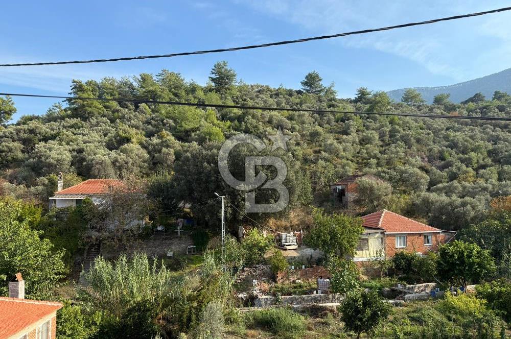 Bafa Milas Satılık Taş Ev