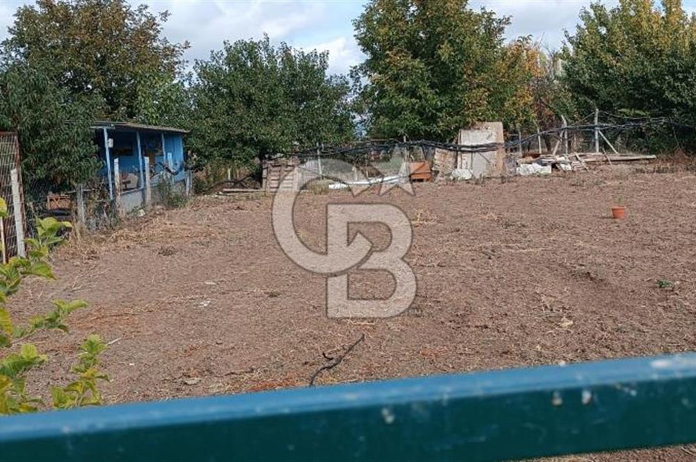 CB CITY'DEN FEVZİ ÇAKMAK'TA SATILIK TARLA