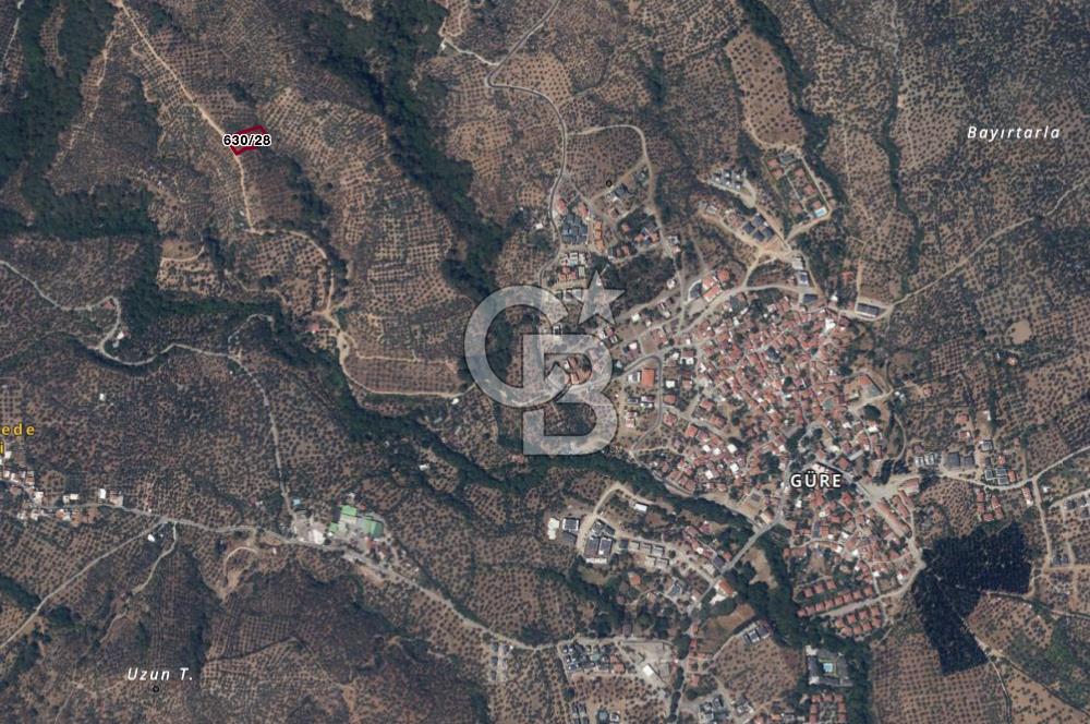BALIKESİR EDREMİT GÜREDE YOLU BULUNAN SATILIK ZEYTİNLİK
