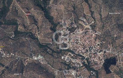 BALIKESİR EDREMİT GÜREDE YOLU BULUNAN SATILIK ZEYTİNLİK
