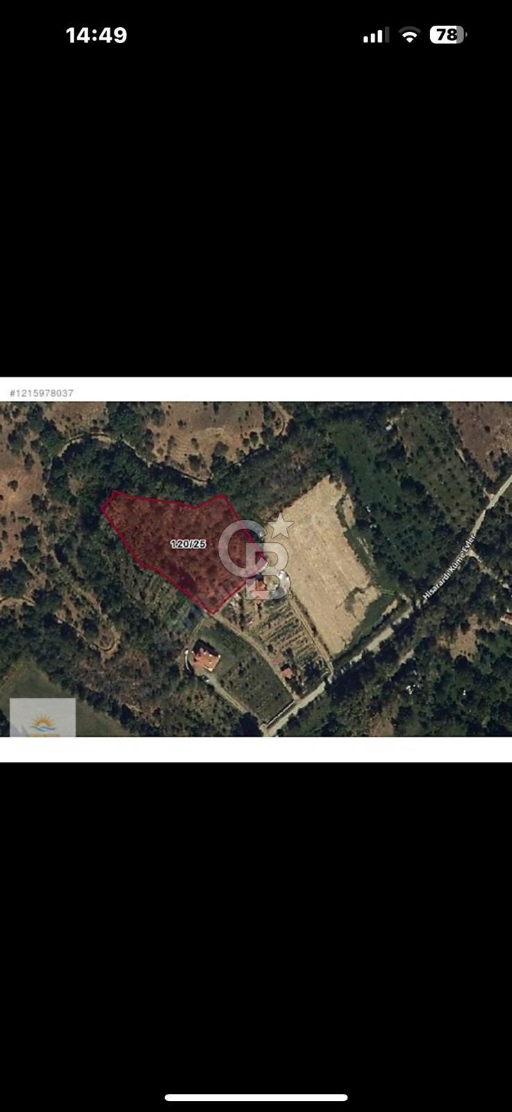 ISPARTA YALVAÇ HİSARARDI KÖYÜ'NDE YATIRIMLIK TARLA