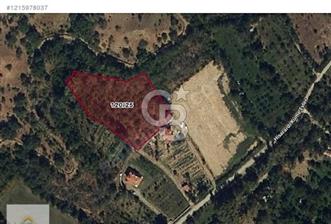 ISPARTA YALVAÇ HİSARARDI KÖYÜ'NDE YATIRIMLIK TARLA