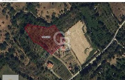 ISPARTA YALVAÇ HİSARARDI KÖYÜ'NDE YATIRIMLIK TARLA