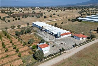 CB OPİA'DAN " ÇALIŞIR DURUMDA FULL OTOMASYON TAVUK ÇİFTLİĞİ "