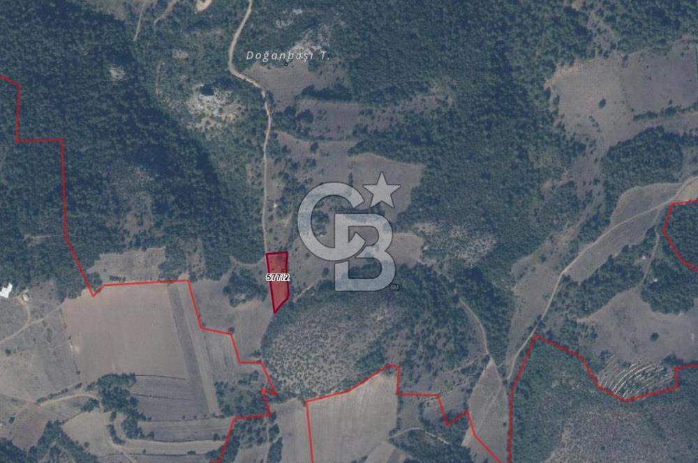CB NETA'DAN SAKARYA GEYVE'DE SATILIK 2 DÖNÜM ARSA
