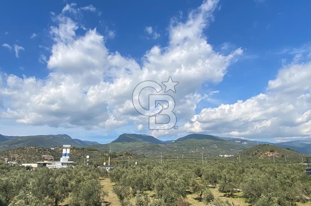 7+1 | Müstakil Forleks Villa | 355 m² Arsa İçinde | Havuzlu, Saunalı 