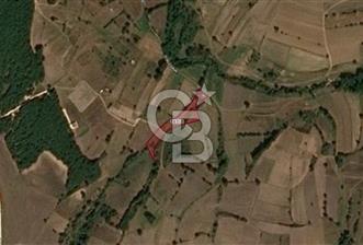 TEKİRDAĞ SARAY KÜÇÜKYONCALI'DA SATILIK 5039 m² ARSA