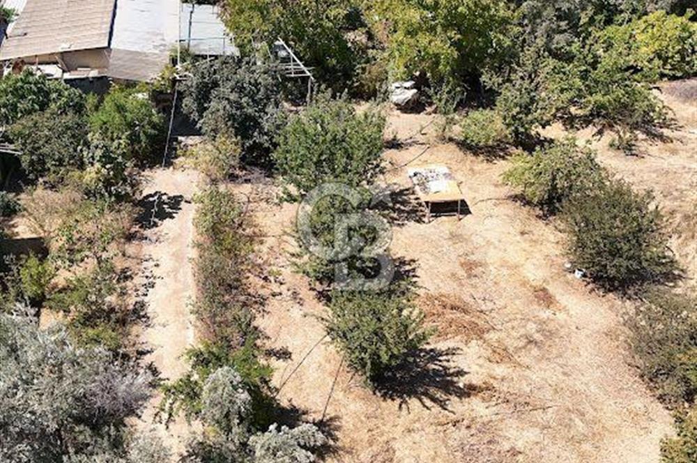 MENDERES COLDWELLBANKER POYRAZ'DAN ÇAMÖNÜ'NDE ANAYOL ÜZERİ TARLA