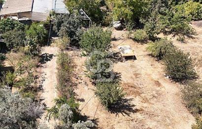 MENDERES COLDWELLBANKER POYRAZ'DAN ÇAMÖNÜ'NDE ANAYOL ÜZERİ TARLA