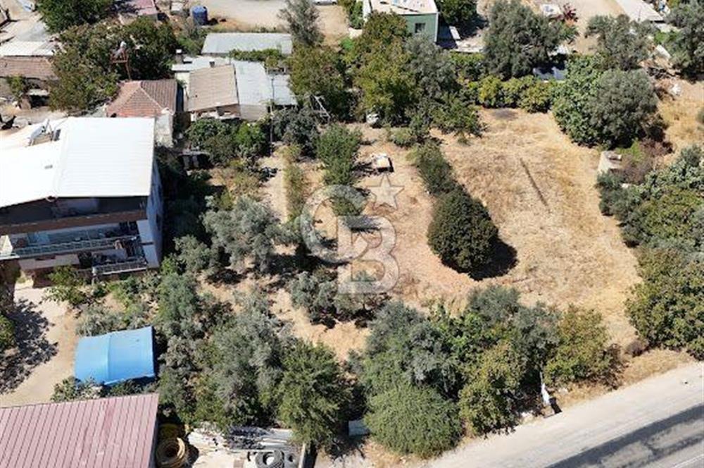 MENDERES COLDWELLBANKER POYRAZ'DAN ÇAMÖNÜ'NDE ANAYOL ÜZERİ TARLA