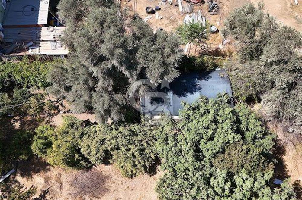 MENDERES COLDWELLBANKER POYRAZ'DAN ÇAMÖNÜ'NDE ANAYOL ÜZERİ TARLA