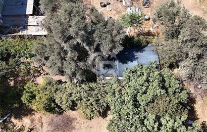 MENDERES COLDWELLBANKER POYRAZ'DAN ÇAMÖNÜ'NDE ANAYOL ÜZERİ TARLA