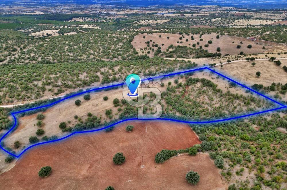CB OPİA'DAN YOLA CEPHE 30.000 m²ARAZİ