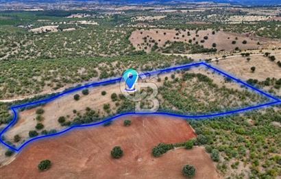CB OPİA'DAN YOLA CEPHE 30.000 m²ARAZİ