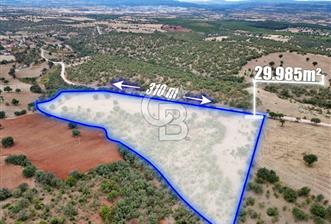 CB OPİA'DAN YOLA CEPHE 30.000 m²ARAZİ