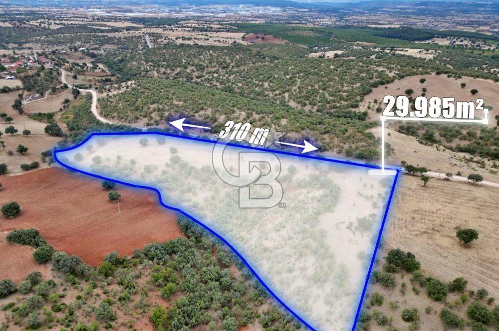 CB OPİA'DAN YOLA CEPHE 30.000 m²ARAZİ