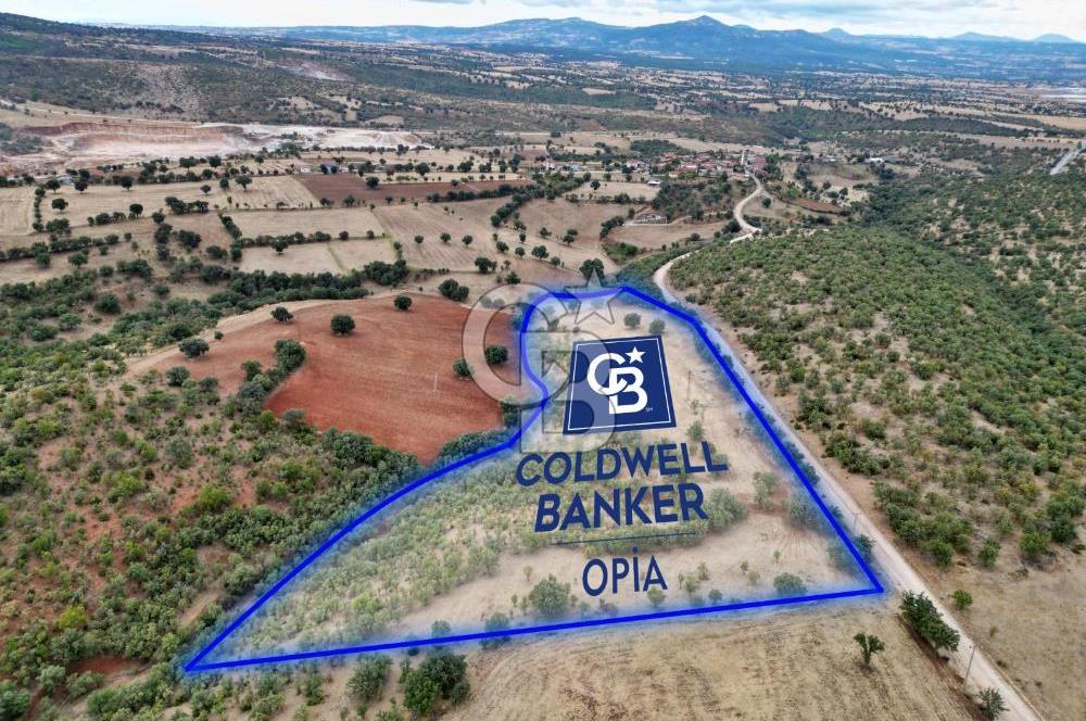 CB OPİA'DAN YOLA CEPHE 30.000 m²ARAZİ