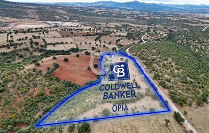 CB OPİA'DAN YOLA CEPHE 30.000 m²ARAZİ