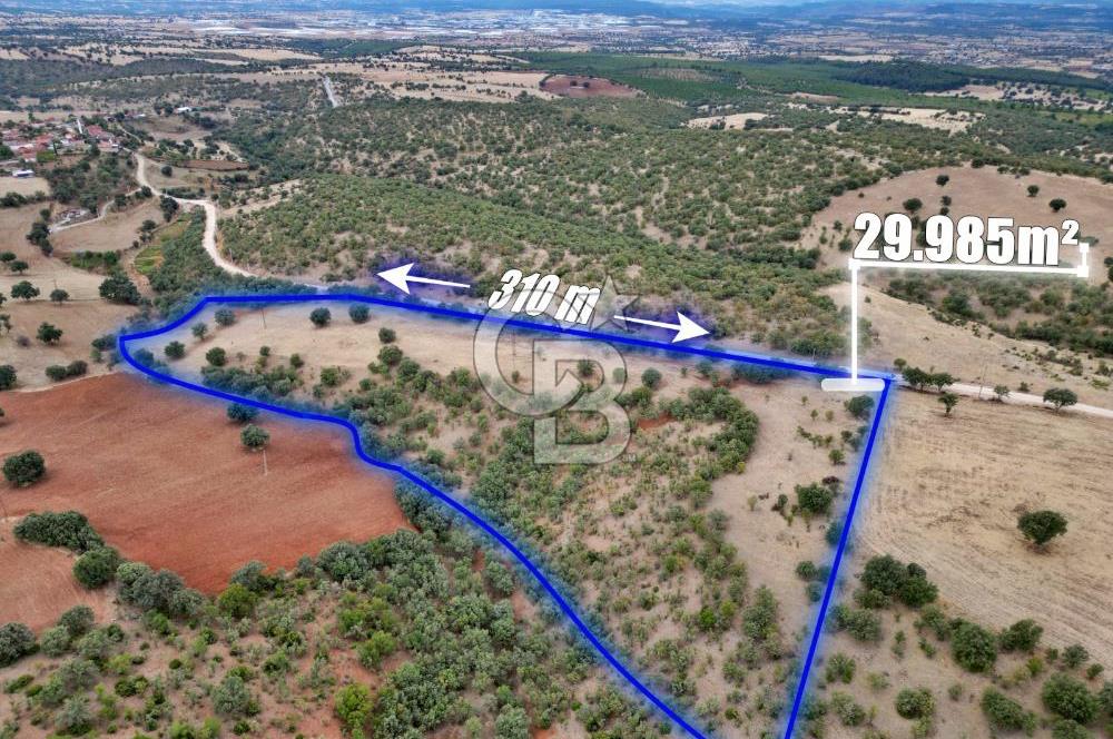 CB OPİA'DAN YOLA CEPHE 30.000 m²ARAZİ