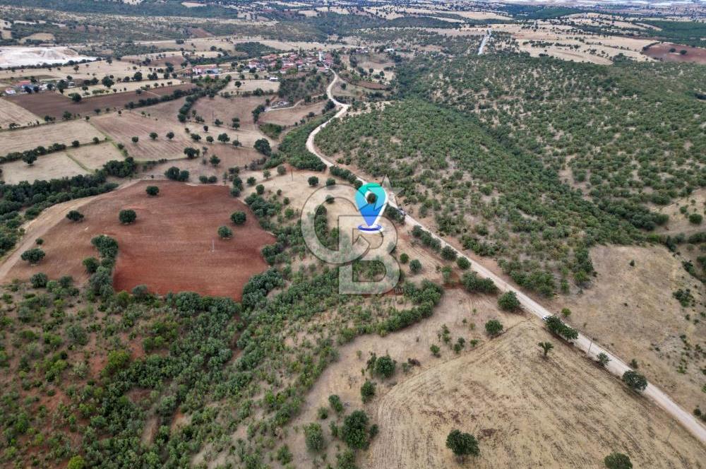 CB OPİA'DAN YOLA CEPHE 30.000 m²ARAZİ
