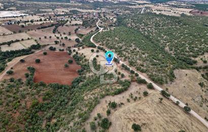 CB OPİA'DAN YOLA CEPHE 30.000 m²ARAZİ