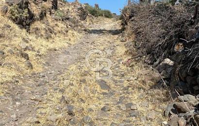 İZMİR ALİAĞA HACIÖMERLİ'DE SATILIK ARSA