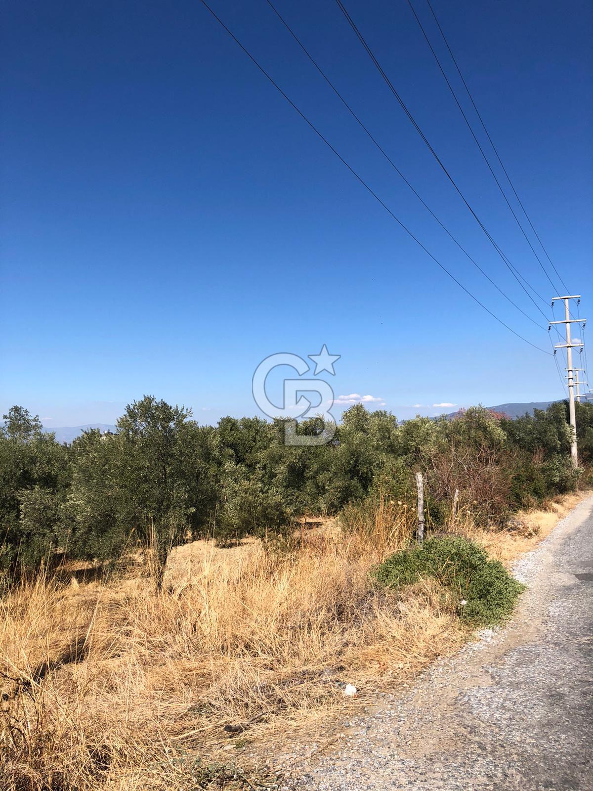 AYDIN BOZDOĞAN TAŞKÖPRÜ YOLU ÜZERİNDE 5.371 m2 İMARLI ARSA