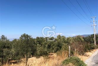 AYDIN BOZDOĞAN TAŞKÖPRÜ YOLU ÜZERİNDE 5.371 m2 İMARLI ARSA