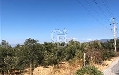 AYDIN BOZDOĞAN TAŞKÖPRÜ YOLU ÜZERİNDE 5.371 m2 İMARLI ARSA