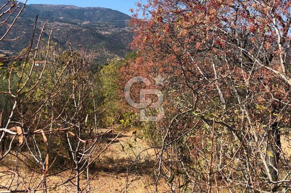 AYDIN BOZDOĞAN TAŞKÖPRÜ YOLU ÜZERİNDE 5.371 m2 İMARLI ARSA