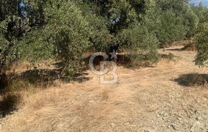 AYDIN BOZDOĞAN TAŞKÖPRÜ YOLU ÜZERİNDE 5.371 m2 İMARLI ARSA