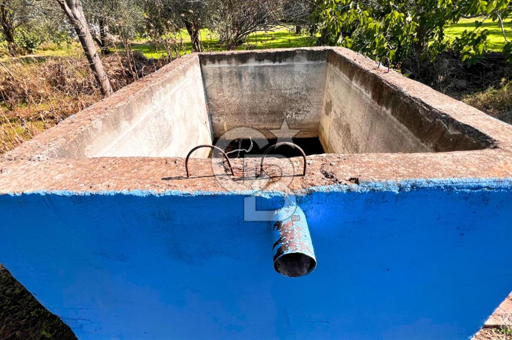 İZMİR BERGAMA'DA İÇERİSİNDE EVİ OLAN ZEYTİNLİK