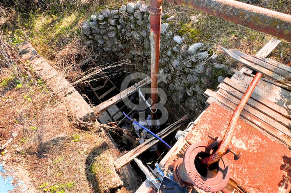 İZMİR BERGAMA'DA İÇERİSİNDE EVİ OLAN ZEYTİNLİK