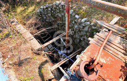 İZMİR BERGAMA'DA İÇERİSİNDE EVİ OLAN ZEYTİNLİK