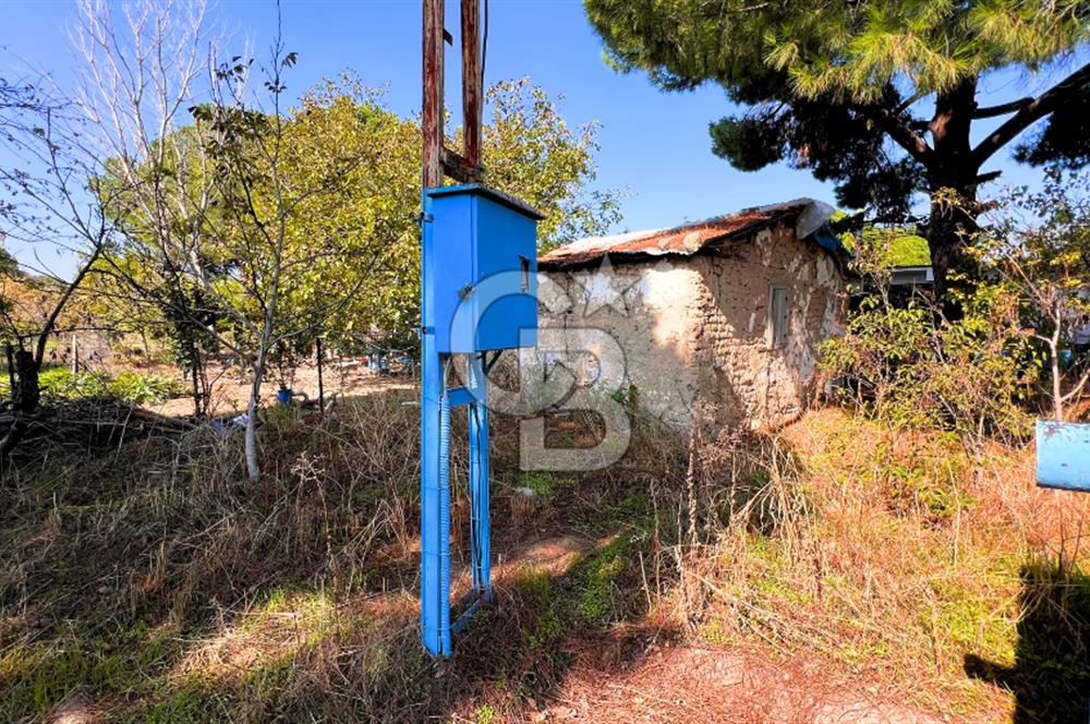 İZMİR BERGAMA'DA İÇERİSİNDE EVİ OLAN ZEYTİNLİK