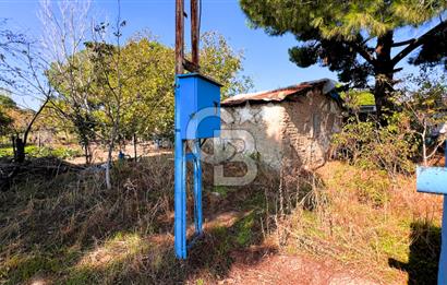 İZMİR BERGAMA'DA İÇERİSİNDE EVİ OLAN ZEYTİNLİK