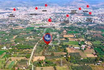 İZMİR BERGAMA'DA İÇERİSİNDE EVİ OLAN ZEYTİNLİK