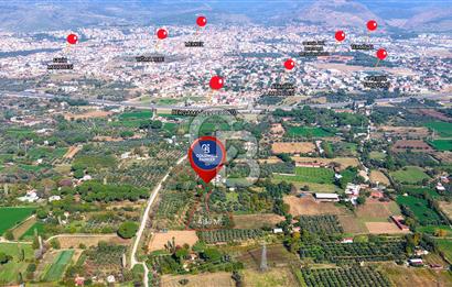 İZMİR BERGAMA'DA İÇERİSİNDE EVİ OLAN ZEYTİNLİK