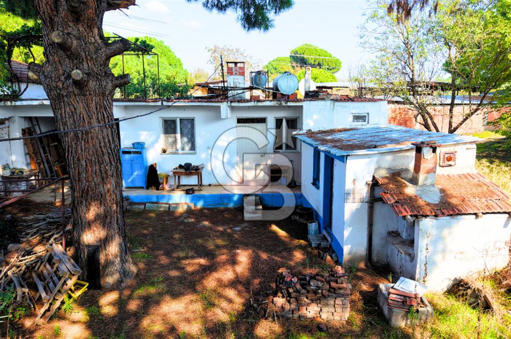 İZMİR BERGAMA'DA İÇERİSİNDE EVİ OLAN ZEYTİNLİK