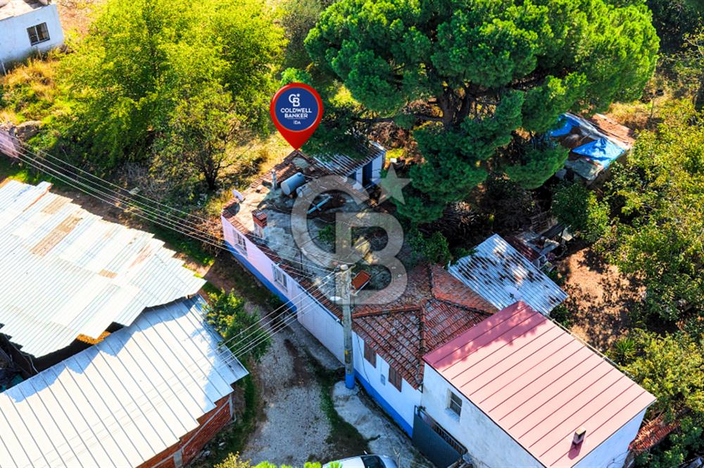 İZMİR BERGAMA'DA İÇERİSİNDE EVİ OLAN ZEYTİNLİK