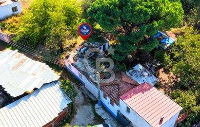 İZMİR BERGAMA'DA İÇERİSİNDE EVİ OLAN ZEYTİNLİK